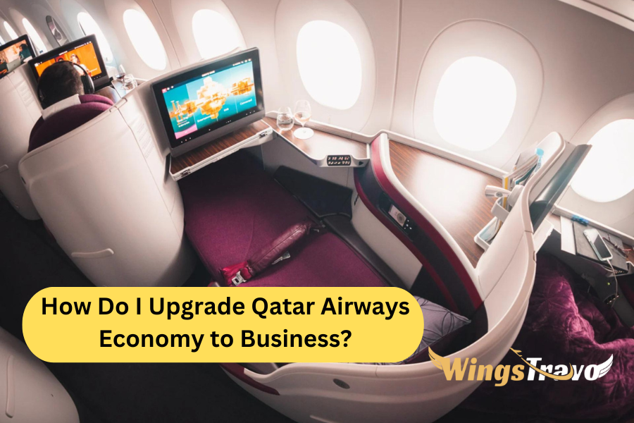 How Do I Upgrade Qatar Airways Economy to Business_20256645243.png